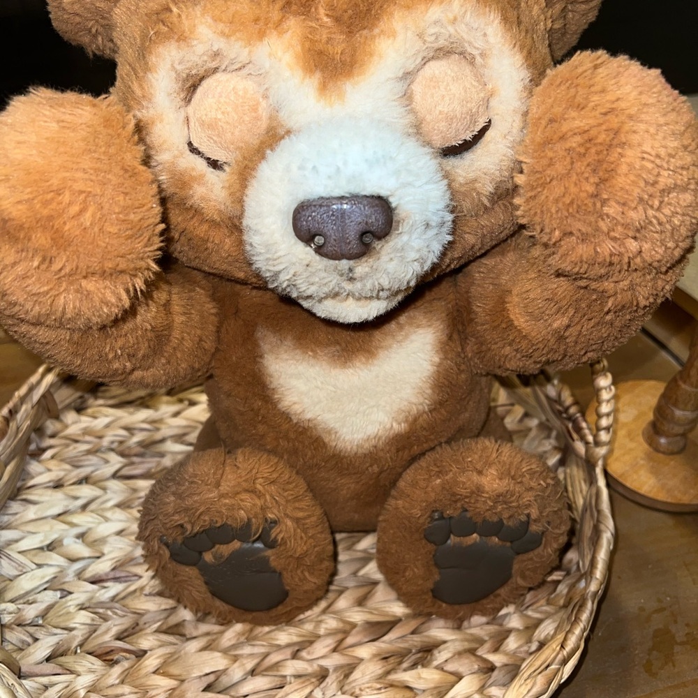 Brown Plush Bear Toy